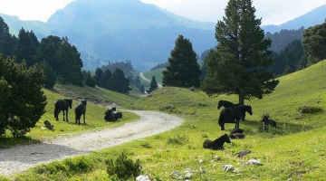 Vallon de Combeau