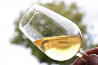 Clairette de Die