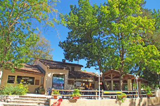 bar-restaurant